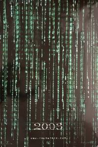ORIGINAL "THE MATRIX RELOADED" SCREEN PRINT MOVIE POSTER