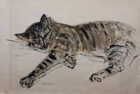 Sleeping Cat; Original ink drawing by Gertrude FREYMAN - from Argosy Book Store (SKU: 286791)