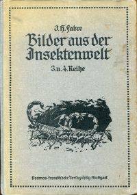 Bilder aus der Insektenwelt.