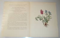 ORIGINAL PROSPECTUS WITH A COLOR PLATE FOR "JOSEF WEISZ: BLUMEN DER ALPEN"