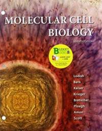 image of Molecular Cell Biology (Loose Leaf) & eBook Access Card