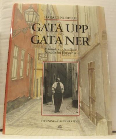 Gata upp och gata ner. Människor och miljöer i…