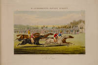 Thumbnail 14