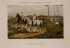 View Image 8 of 21 for Ackermann's Sporting Scraps Inventory #05128
