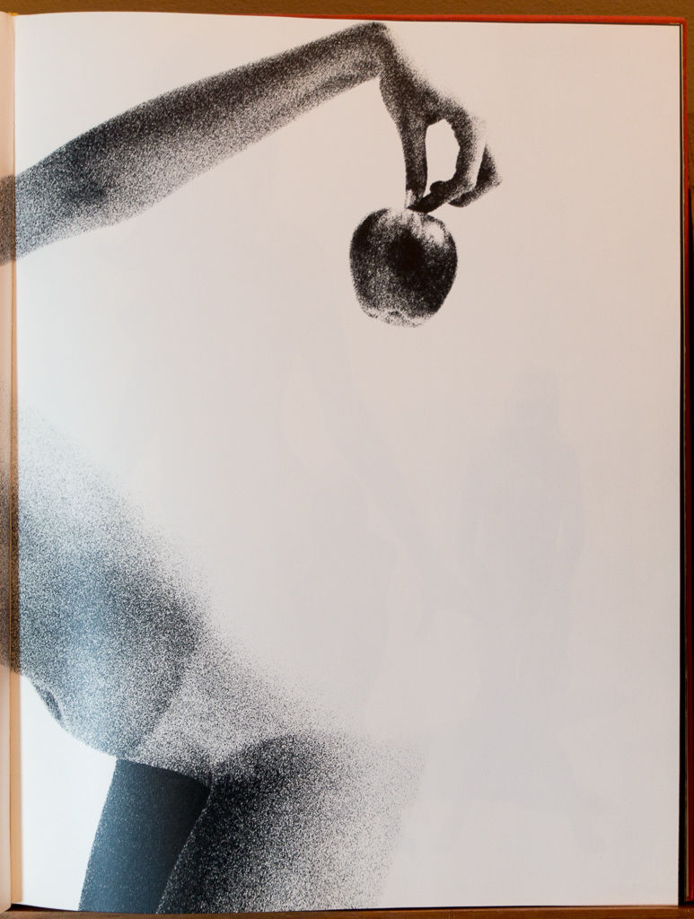 HAPPY SUNDAY アートブック　KARL DE HAAN HAPPY SUNDAY | BOOKNERD