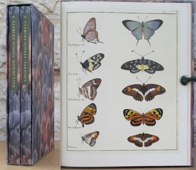 Carl Clercks Fjärilsbok; Icones Insectorum…