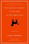 The Curious Incident Of the Dog In the Night-Time
