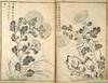 Baichiku Rangiku [Album of Plum, Bamboo, Orchid and Chrysanthemum]. Baichiku Rangiku 梅竹蘭菊 [Album of Plum, Bamboo, Orchid and Chrysanthemum]