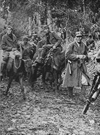 Partisans and Guerrillas