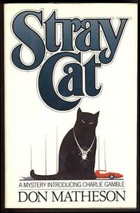 Stray Cat