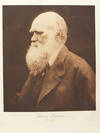 Lord Tennyson and His Friends