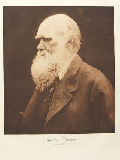 Lord Tennyson and His Friends