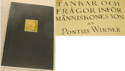 Tankar och frågor inför människones son.