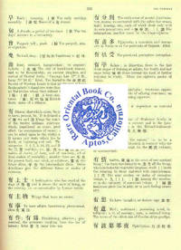 A DICTIONARY OF CHINESE BUDDHIST TERMS: With Sanskrit