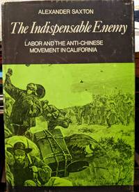 The Indispensable Enemy