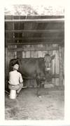 D. H. Lawrence,Three Candid Photographs plus Portrait Photograph