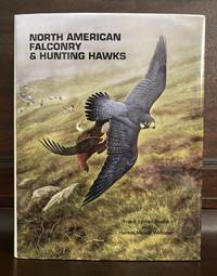 North American Falconry & Hunting Hawks