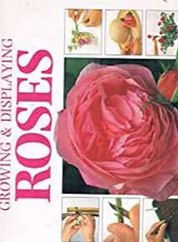 Creative Step by Step Guide to Growing Display Roses