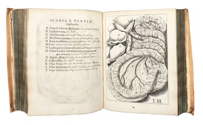 De Motu Cordis & Sanguinis in...