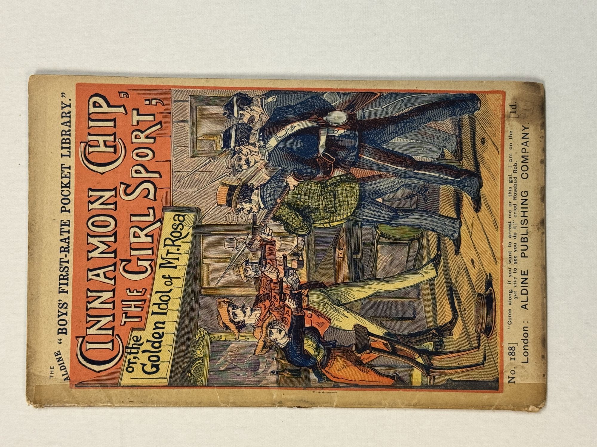 CINNAMON CHIP, THE GIRL SPORT; OR, THE GOLDEN IDOL