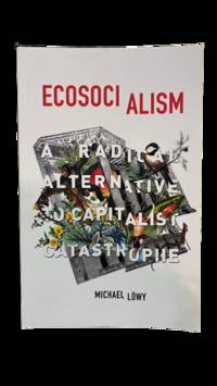 Ecosocialism: A Radical Alternative to Capitalist Catastrophe