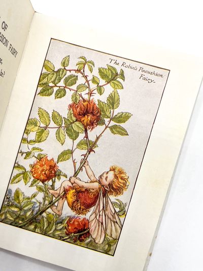 FLOWER FAIRIES OF THE AUTUMN