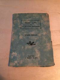 cover of Bird Life on Clifton Downs