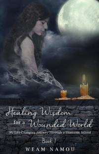 Healing Wisdom for a Wounded World : My Life-Changing Journey Through a Shamanic School (Book 1)