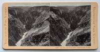 Up the Canyon from Inspiration Point. 4562. [Stereoview]