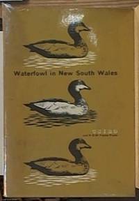 image of Waterfowl in New South Wales