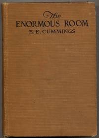 image of The Enormous Room