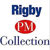 Rigby PM Benchmarks: Leveled Reader Lost at the Shopping Mall