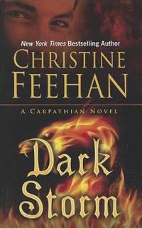 image of Dark Storm
