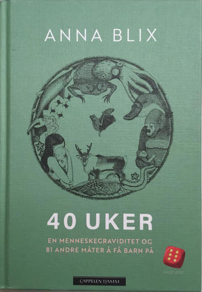 40 uker. En menneskegraviditet og 81 andre måter…