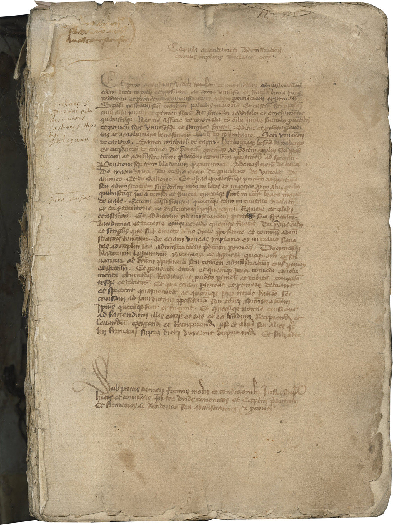 Administrative Records from the Chapter of the Cat