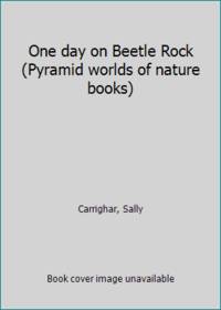 One day on Beetle Rock (Pyramid worlds of nature books)