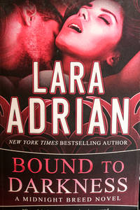 Bound to Darkness (The Midnight Breed Series) (Volume 13)