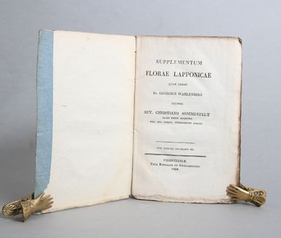 Supplementum Florae Lapponicae qvam edidit Dr.…