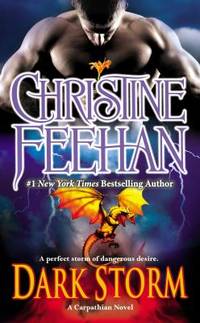 Dark Storm by Christine Feehan - 2013