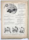 View Image 8 of 8 for Harper's Young People, New York, Tuesday, November 24, 1891, Vol. XIII, No. 630; Front wrapper title... Inventory #2168