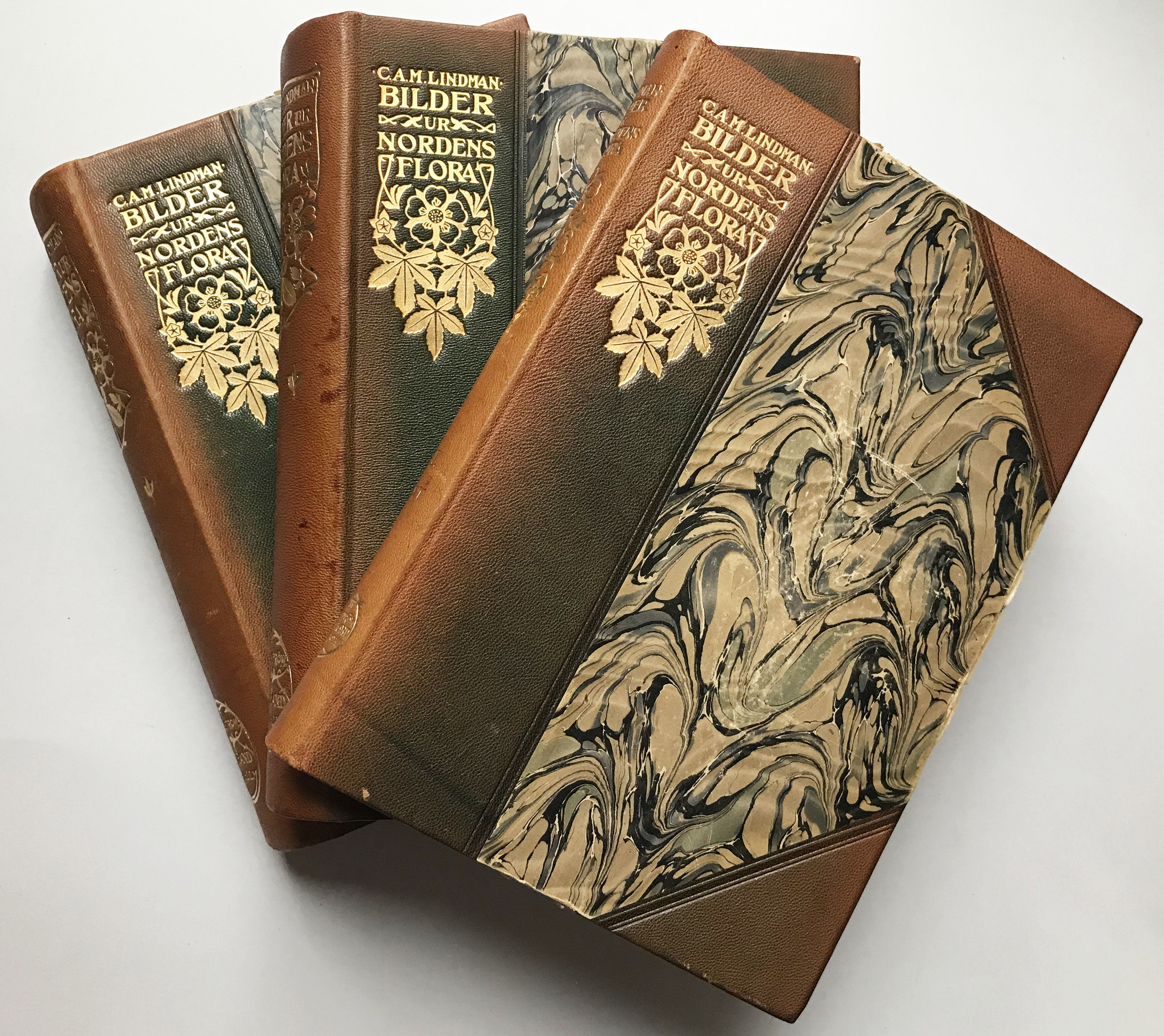 Nordens Flora 植物図鑑 C.A.M. Lindman 第9巻 洋書