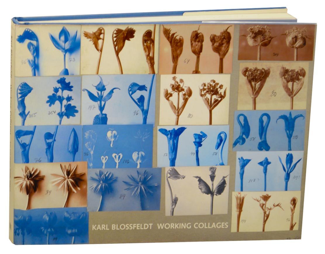 アート・デザイン・音楽 KARL BLOSSFELDT WORKING COLLAGES アート・デザイン・音楽 KARL BLOSSFELDT WORKING COLLAGES Karl