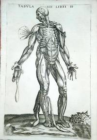 Anatomia del corpo humano nuovamente ristampata e con l
