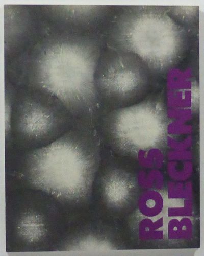 Ross Bleckner. Obra 1993-1994. 1-30 Marzo 1994.…