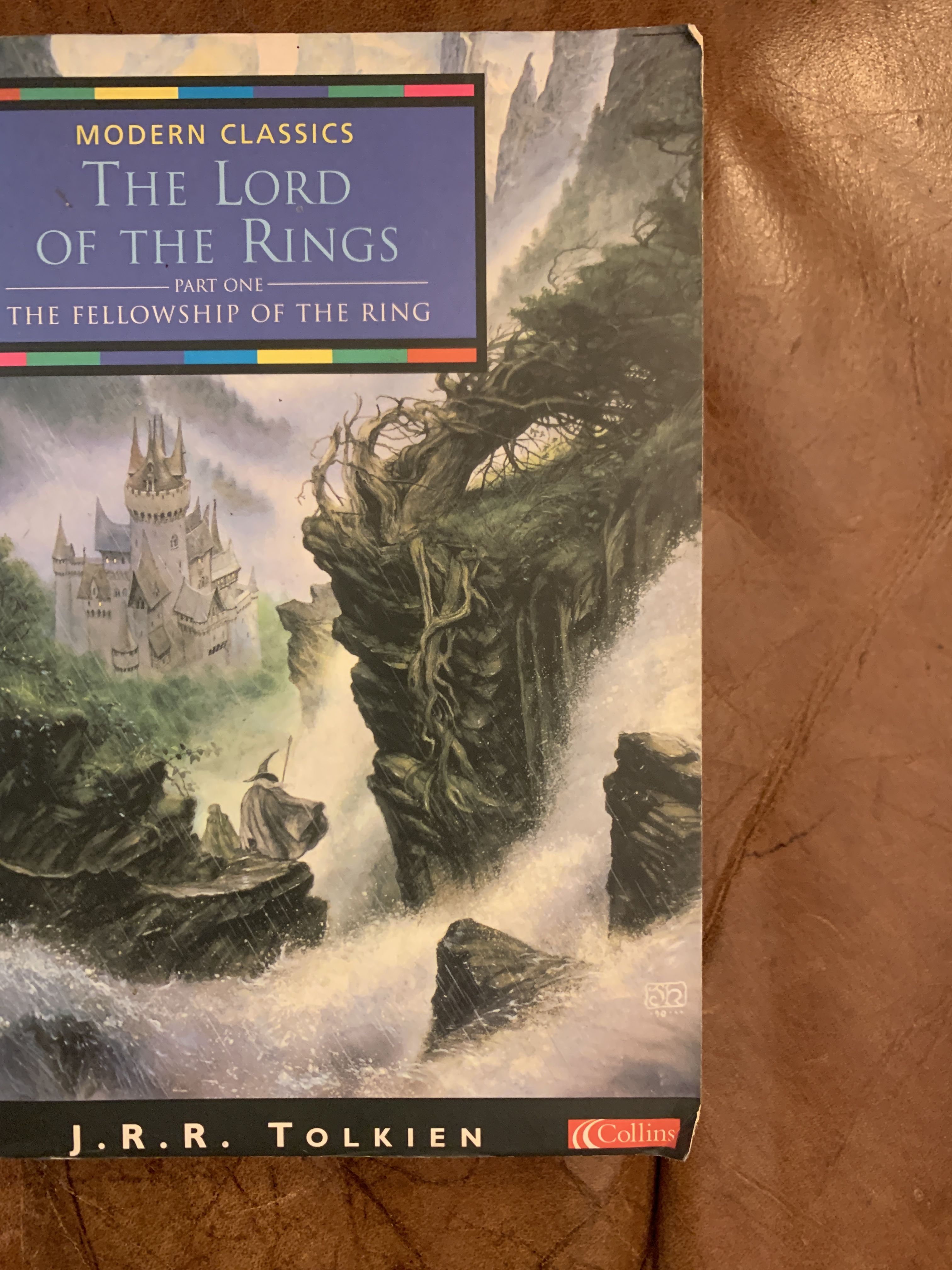 The Lord of the Rings Vol 1: the Fellowship of the Ring The Lord of the Rings Vol 1: the Fellowship of the Ring