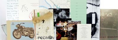 Division Leap # 3: A Traveling Exhibition