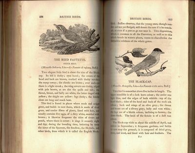 A History of British Birds I-II. (photo 3)