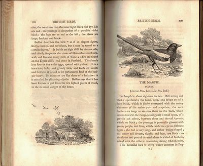 A History of British Birds I-II. (photo 4)