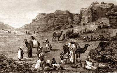 Travels in the great desert of the Sahara, in the years of 1845 and 1846, containing a narrative of personal adventures, during a tour of nine months through the desert, amongst the touaricks and other tribes....