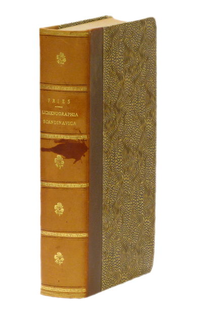 Lichenographica Scandinavica sive disposito…